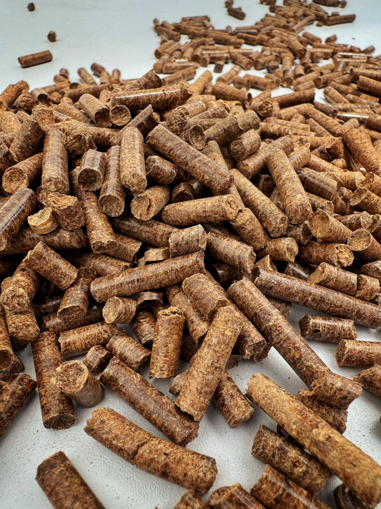 ¿Qué son los pélet (pellet)?